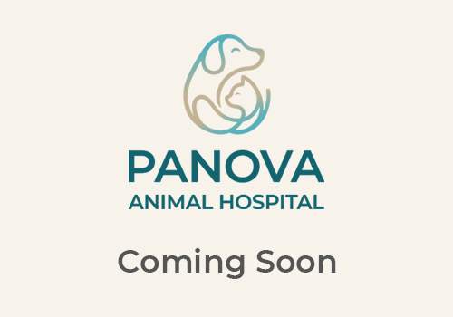 coming soon coming soon